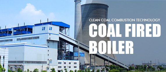 Coal Fired Boiler